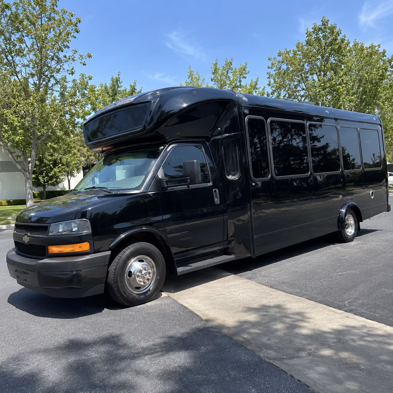 hilo 15 passenger party bus