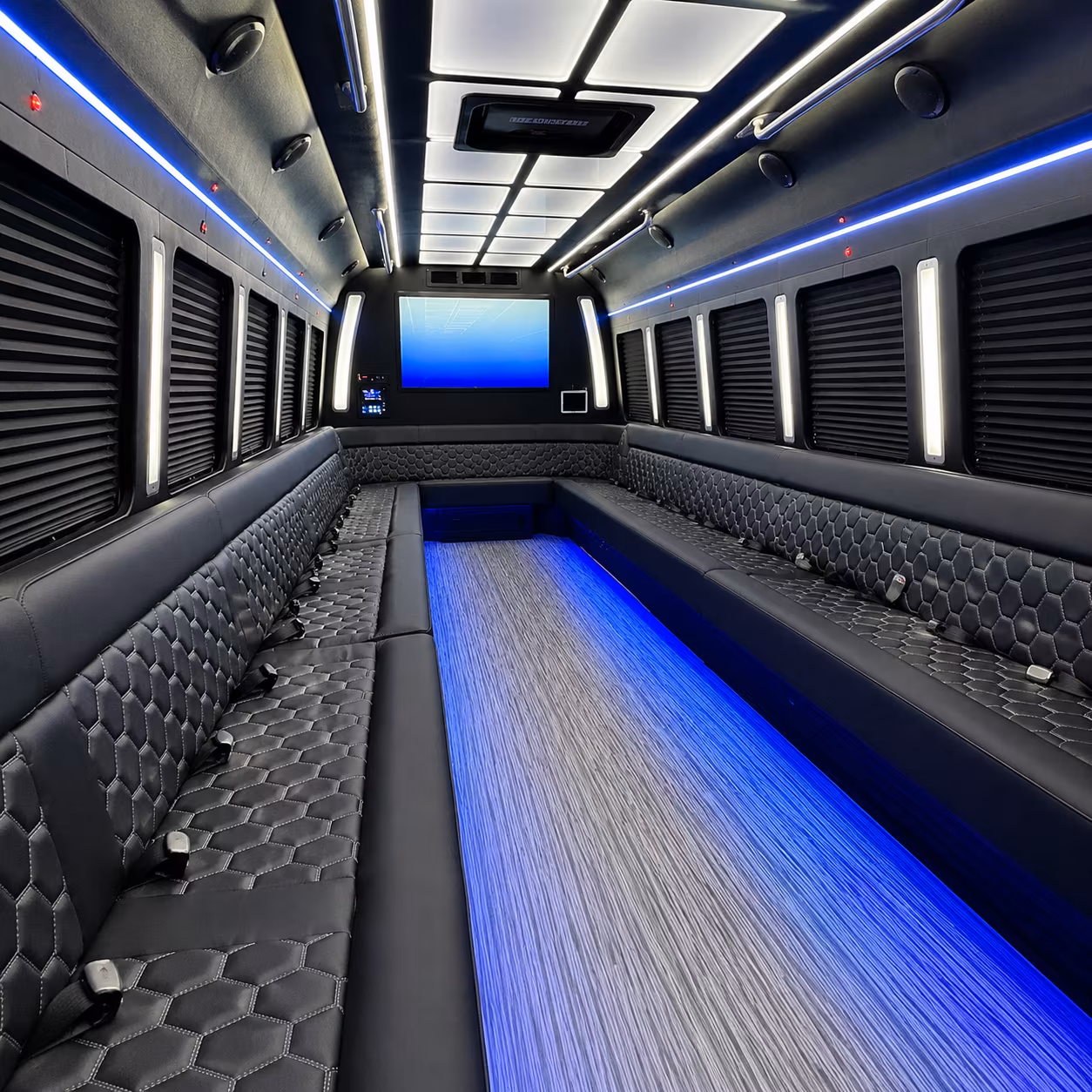hilo 50 passenger party bus inside
