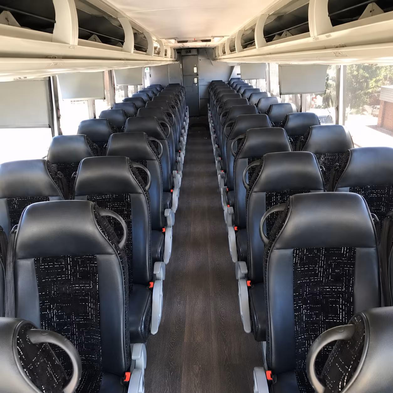 hilocharterbuscompany com is here to help you plan trips to pana ewa zoo akaka falls and beyond