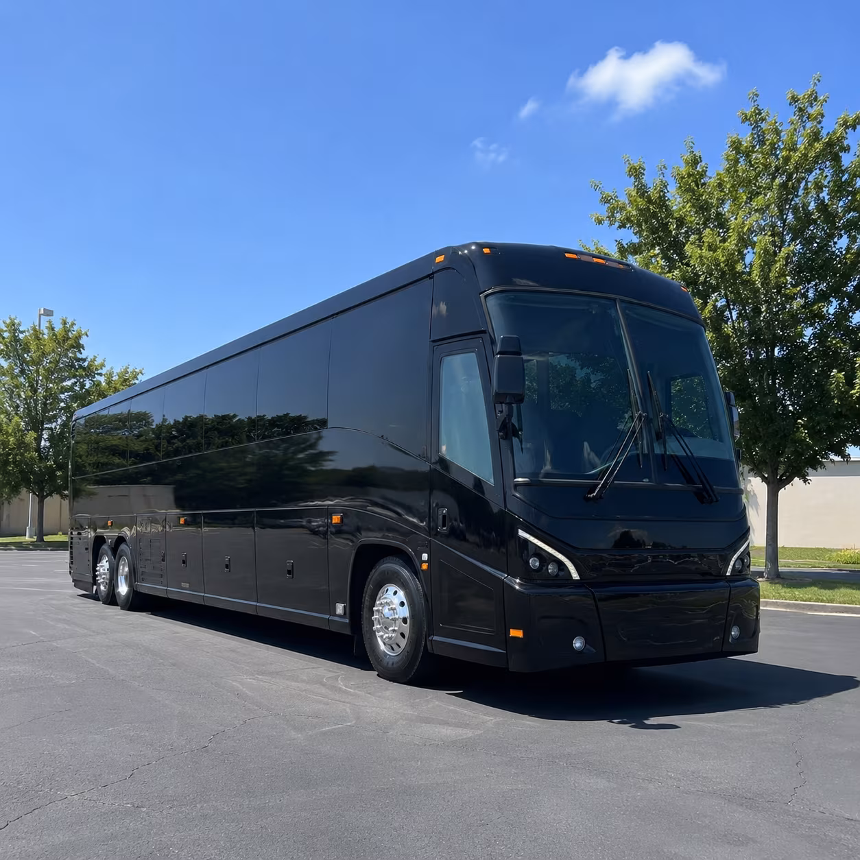 pearl city show up to pearl city concerts in a charter bus