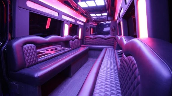 hilo sprinter limo rental rental