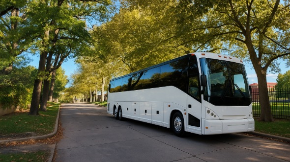 hilo wedding charter bus rental